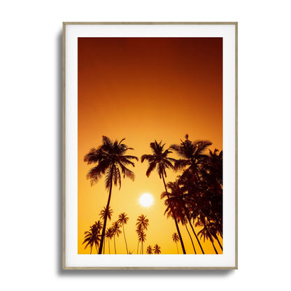 Evening Palms Framed Art