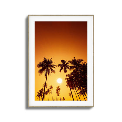 Evening Palms Framed Art