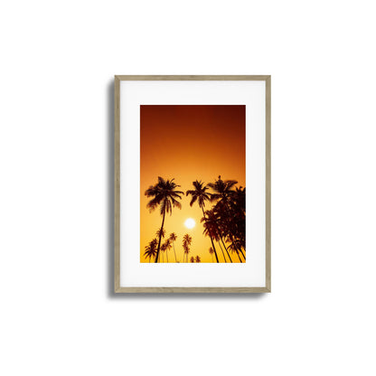 Evening Palms Framed Art