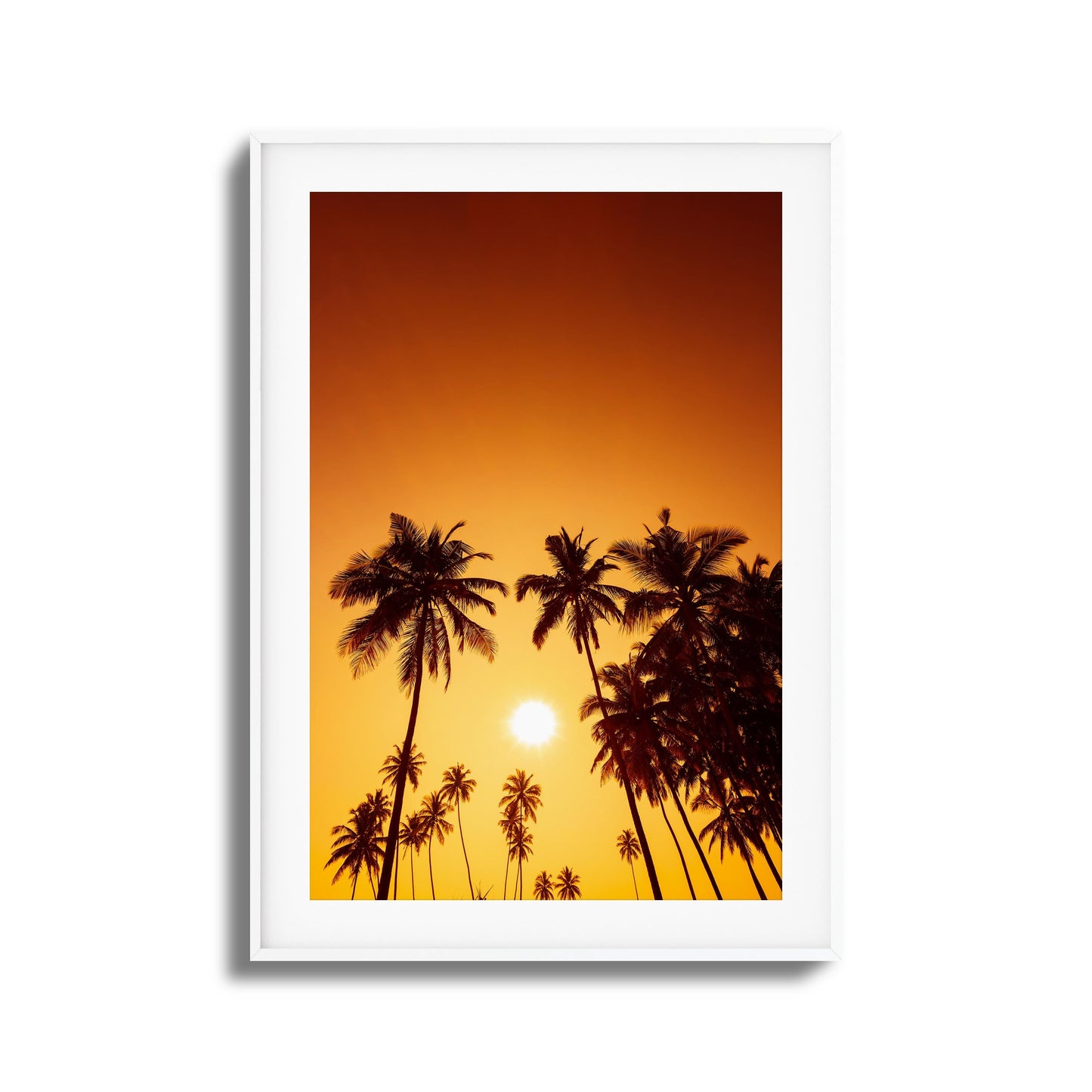 Evening Palms Framed Art