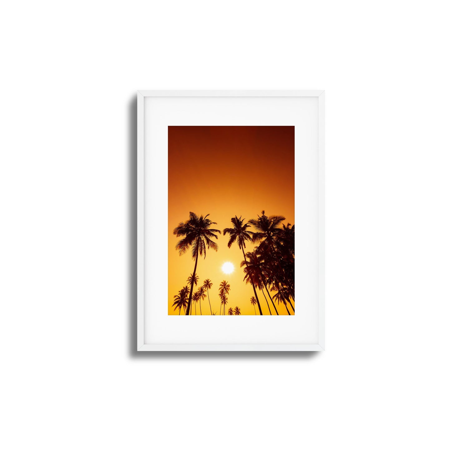 Evening Palms Framed Art