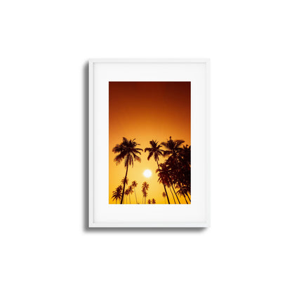 Evening Palms Framed Art
