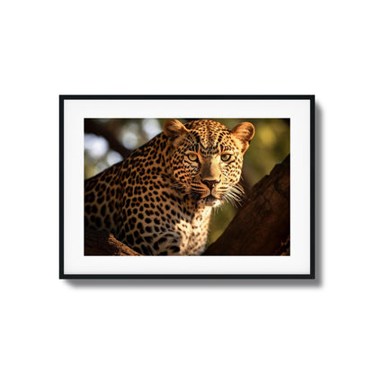 Eyes of the Wild Framed Art