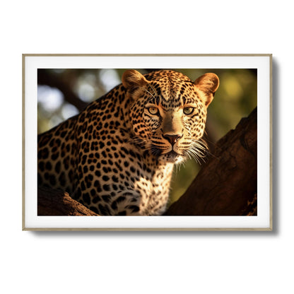 Eyes of the Wild Framed Art