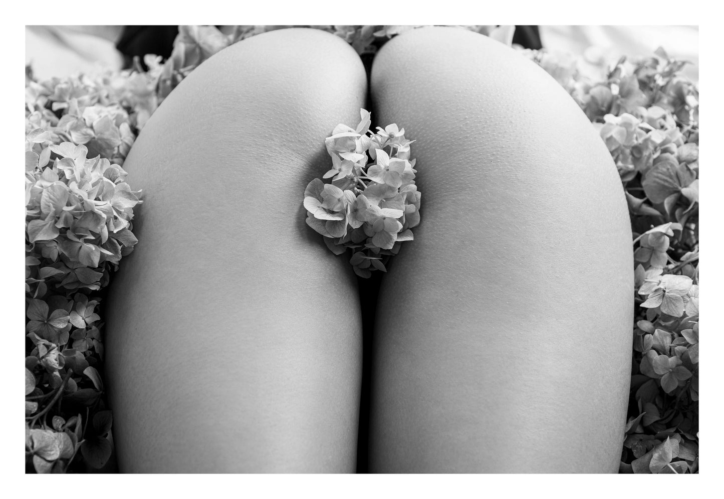 Floral Centerpiece Framed Art