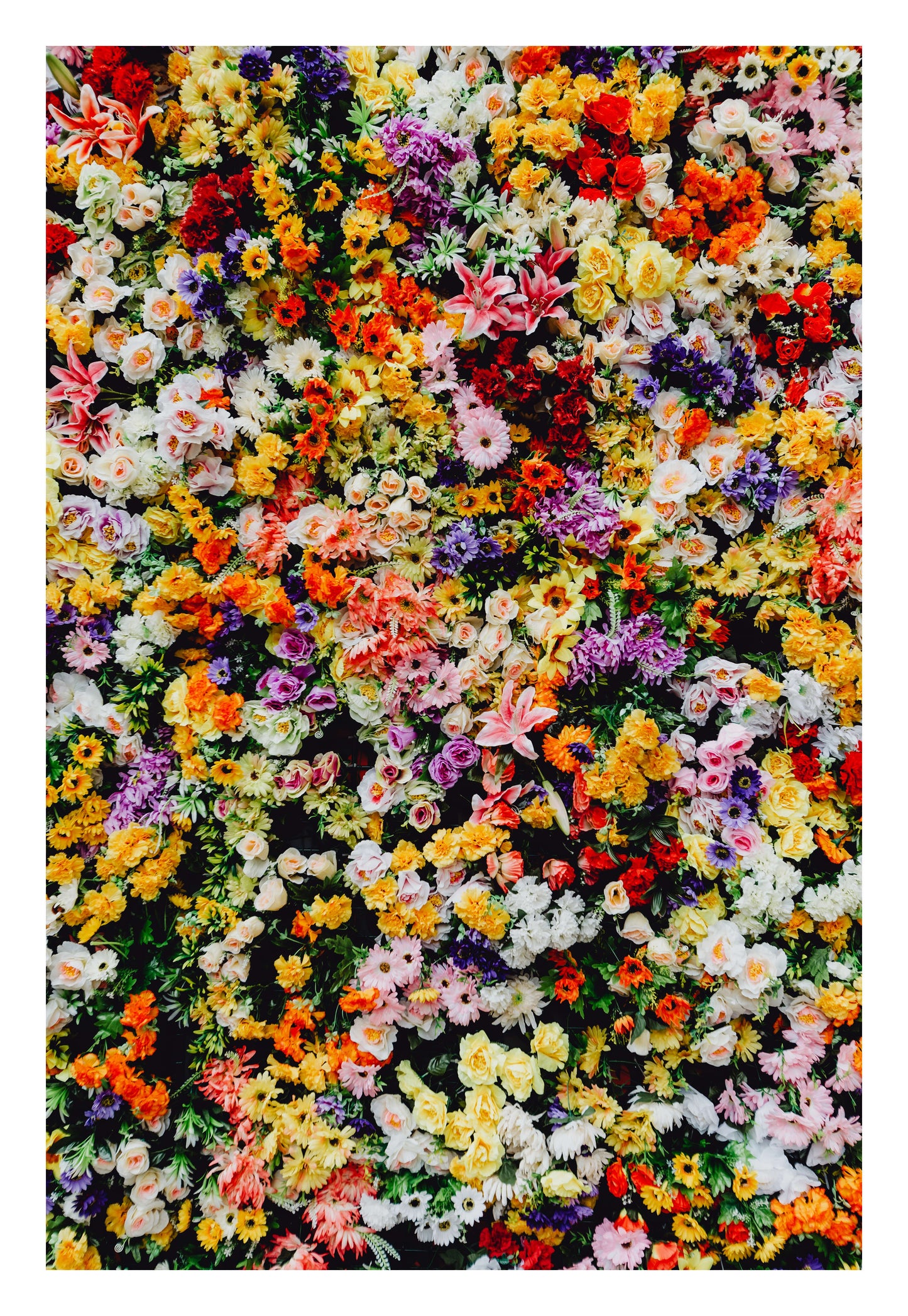 Floral Symphony Framed Art