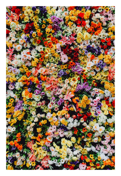 Floral Symphony Framed Art