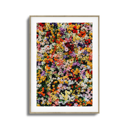 Floral Symphony Framed Art