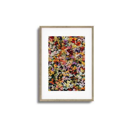 Floral Symphony Framed Art