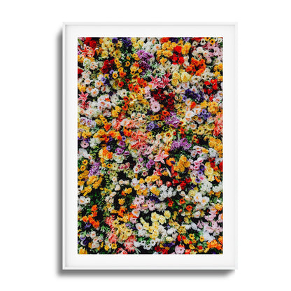 Floral Symphony Framed Art