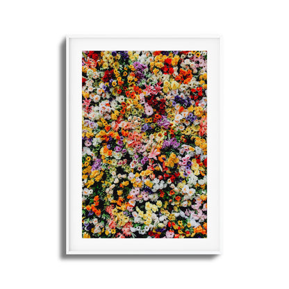 Floral Symphony Framed Art