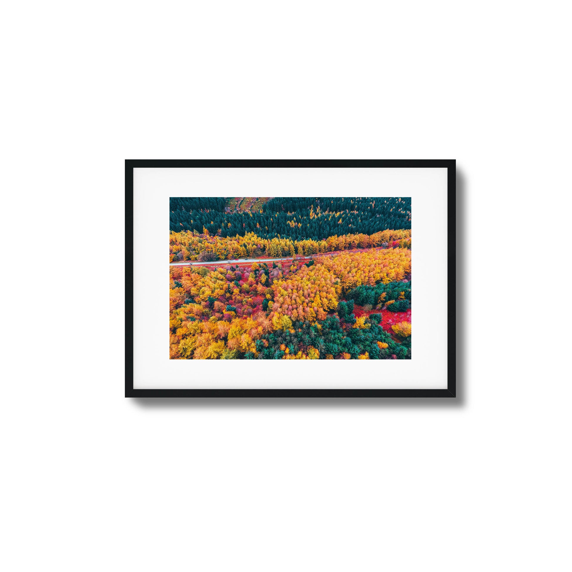 Aerial view of a colorful autumn forest with a winding road, framed as stunning wall art.