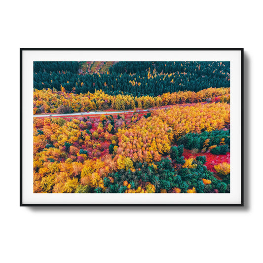 Aerial view of a colorful autumn forest with a winding road, framed as stunning wall art.