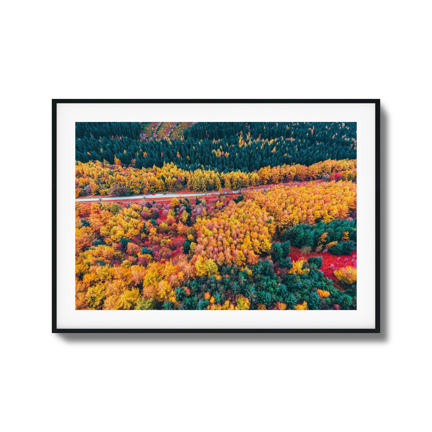 Aerial view of a colorful autumn forest with a winding road, framed as stunning wall art.