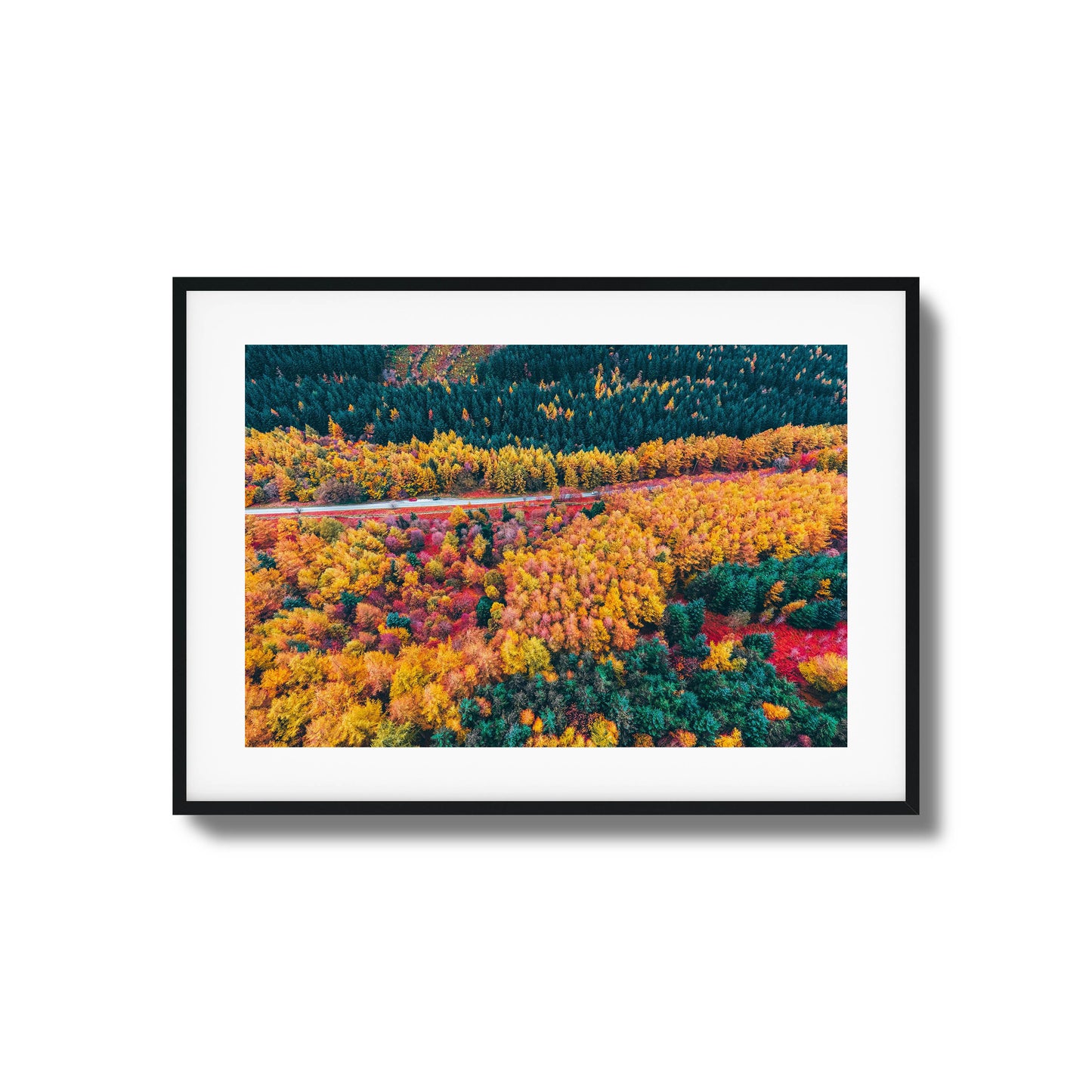 Aerial view of a colorful autumn forest with a winding road, framed as stunning wall art.