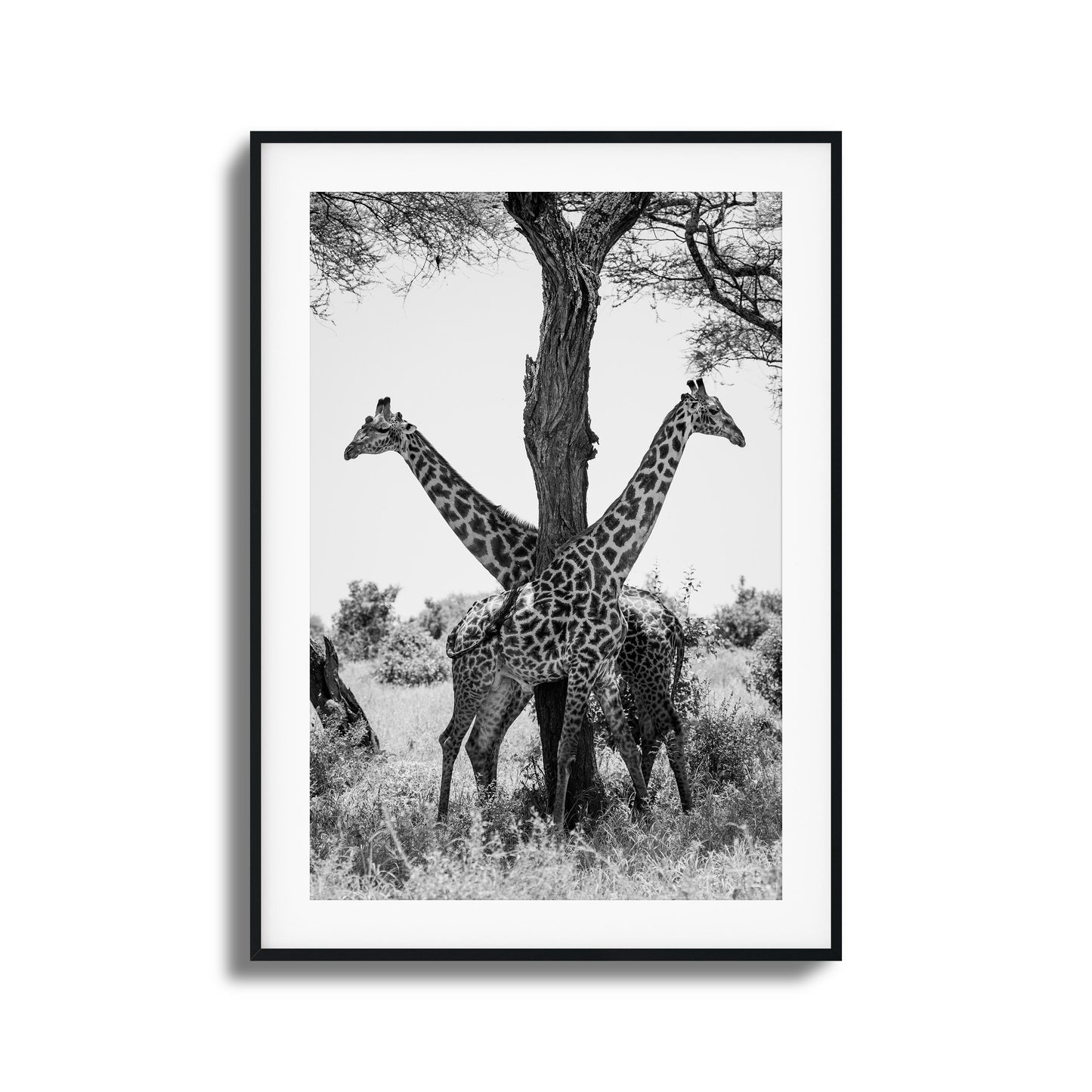 Giraffe Balance Framed Art