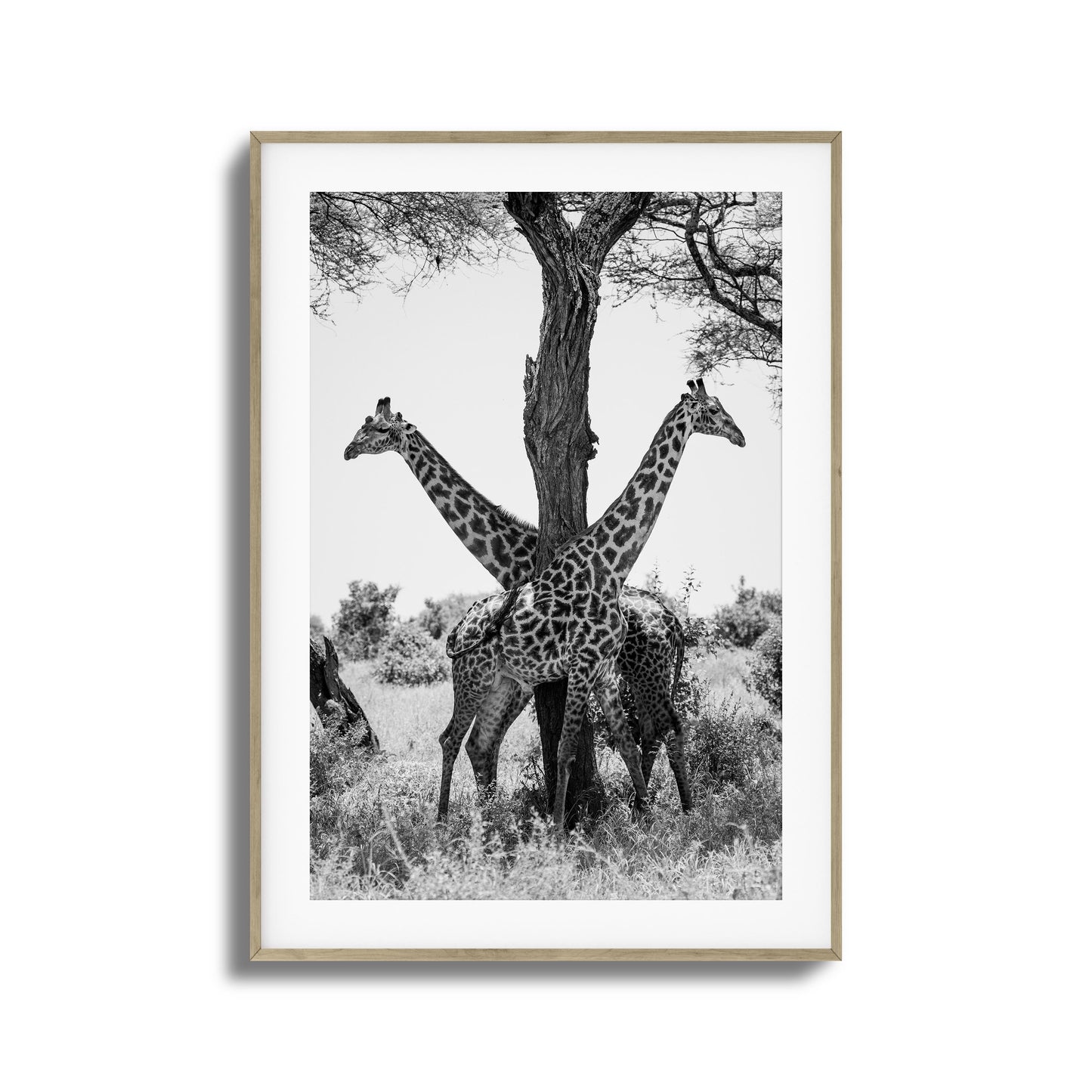Giraffe Balance Framed Art