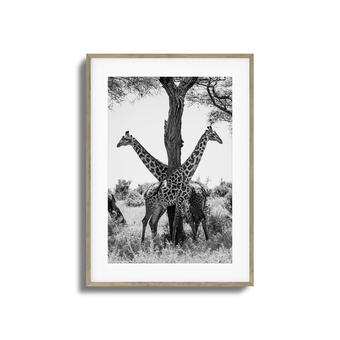 Giraffe Balance Framed Art