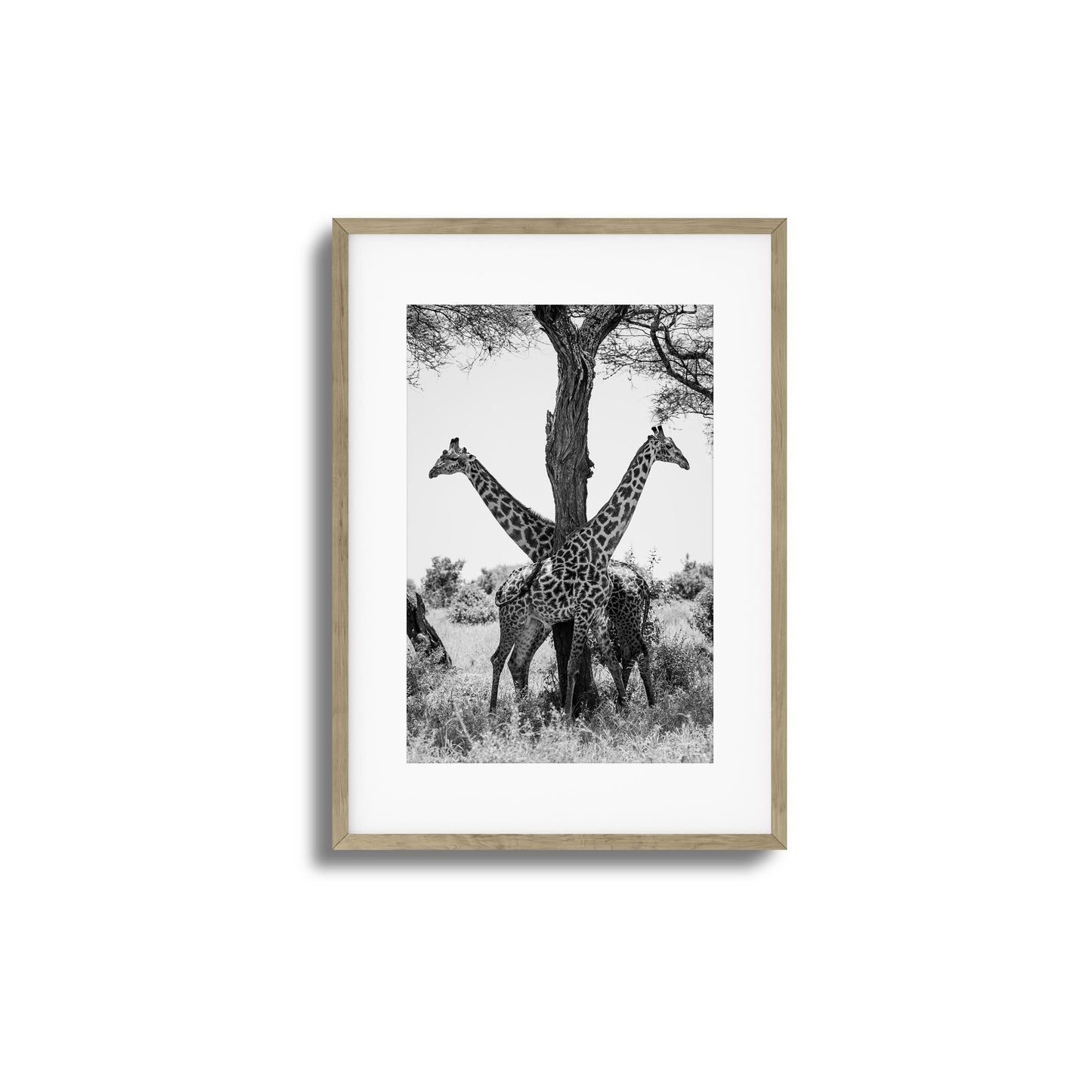Giraffe Balance Framed Art