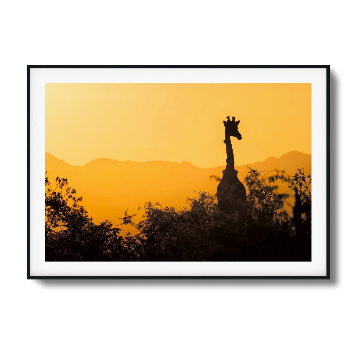 Giraffe Sunset Silhouette Framed Art