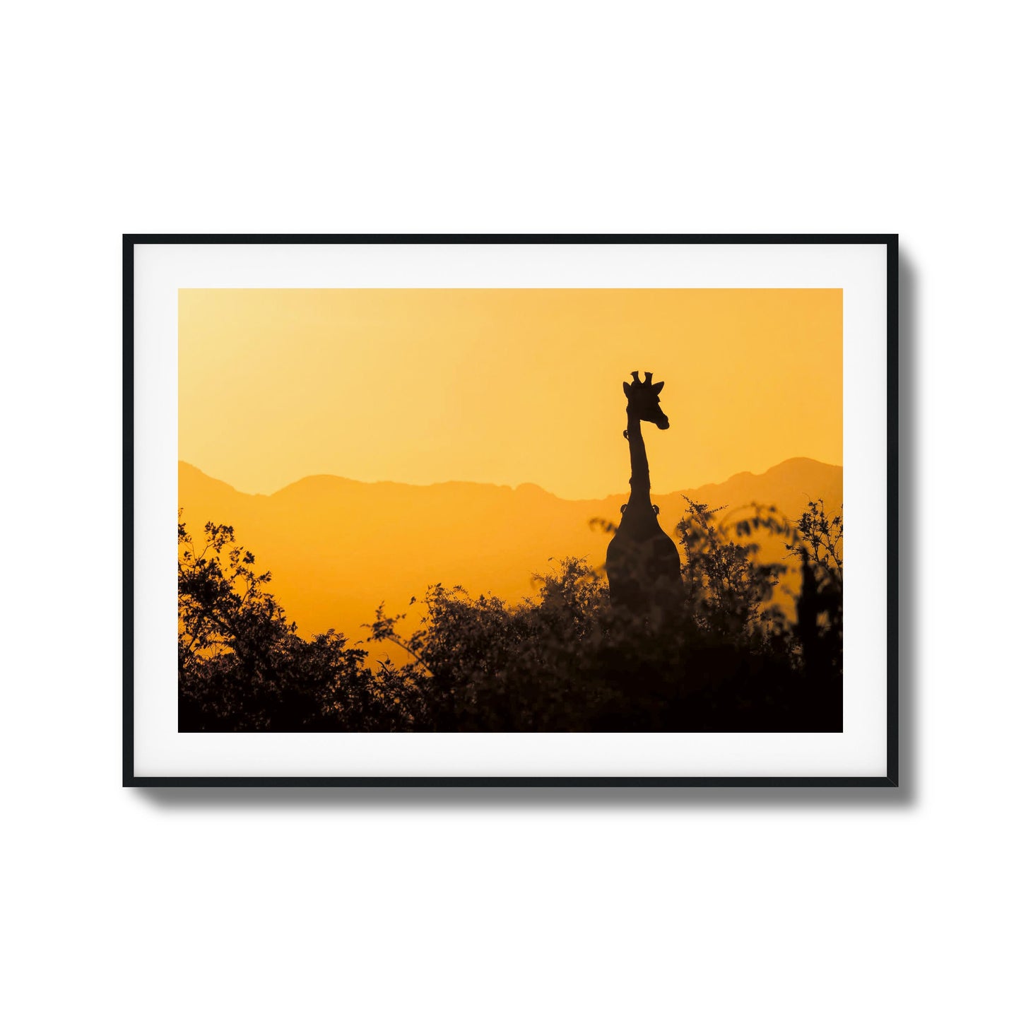 Giraffe Sunset Silhouette Framed Art