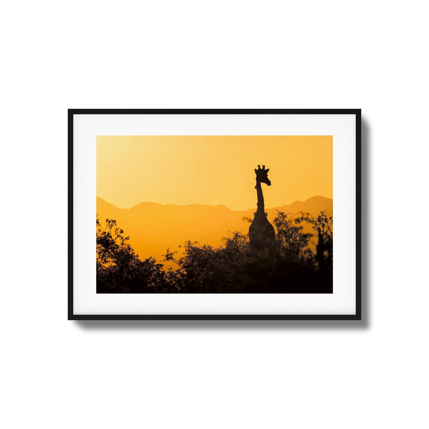 Giraffe Sunset Silhouette Framed Art