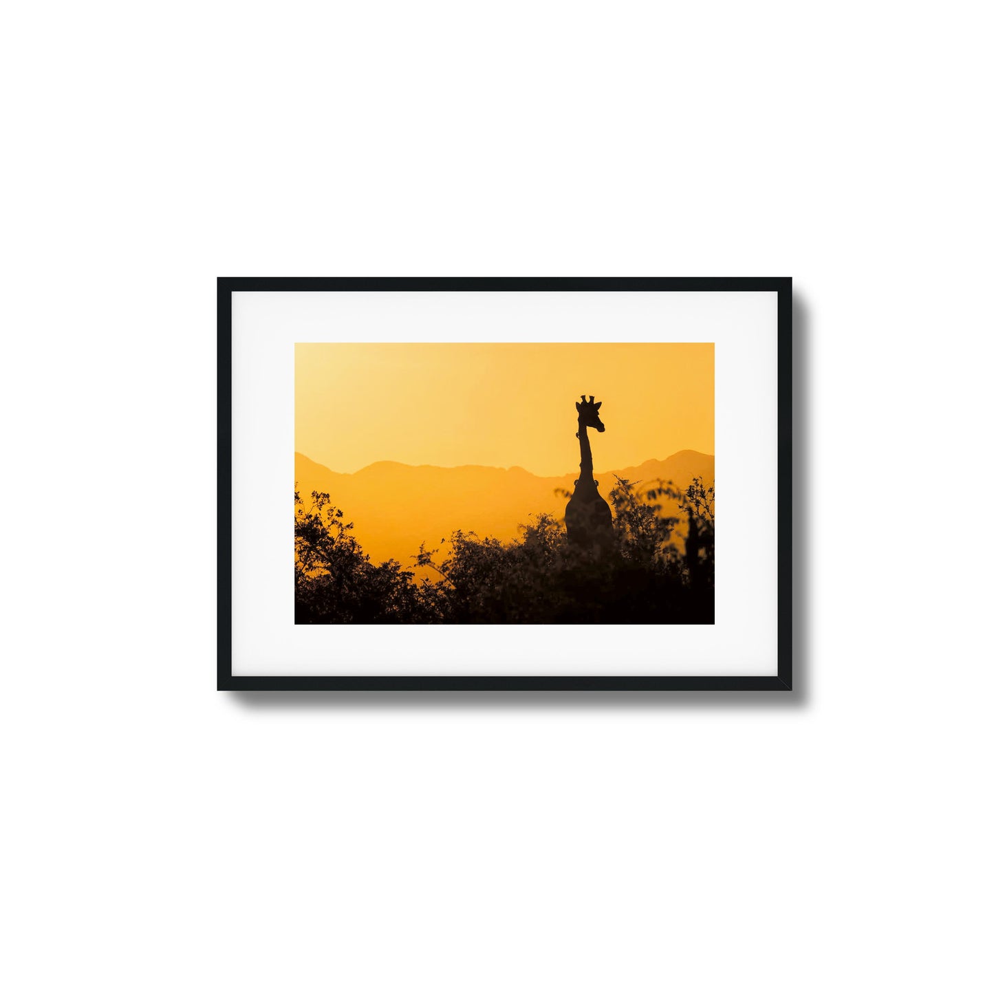 Giraffe Sunset Silhouette Framed Art