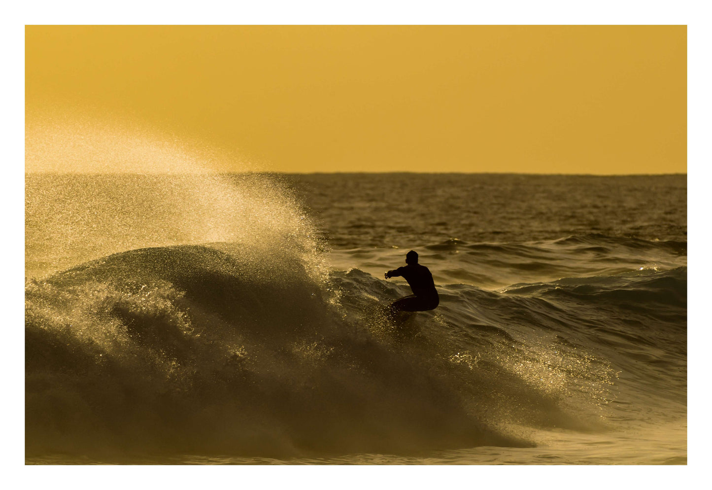 Golden Curl Framed Art
