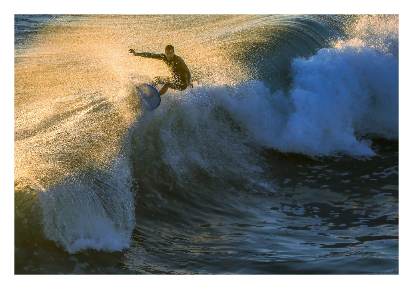 Golden Thrill Framed Art