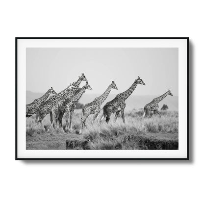 Grace Framed Art - Assure Spark