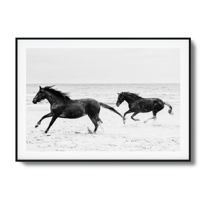 Horses on Beach Black and White Framed Art - Assure Spark