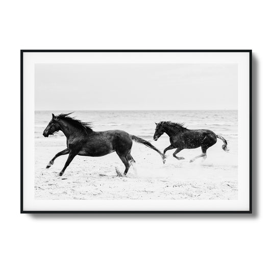 Horses on Beach Black and White Framed Art - Assure Spark