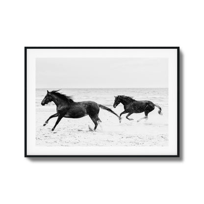 Horses on Beach Black and White Framed Art