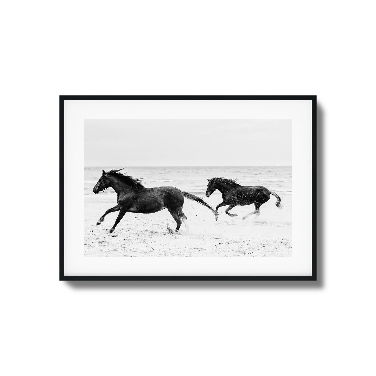 Horses on Beach Black and White Framed Art