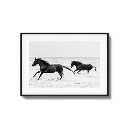 Horses on Beach Black and White Framed Art
