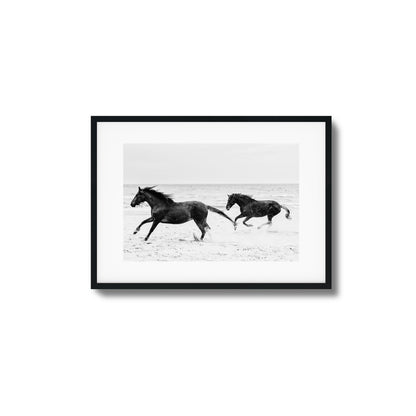 Horses on Beach Black and White Framed Art