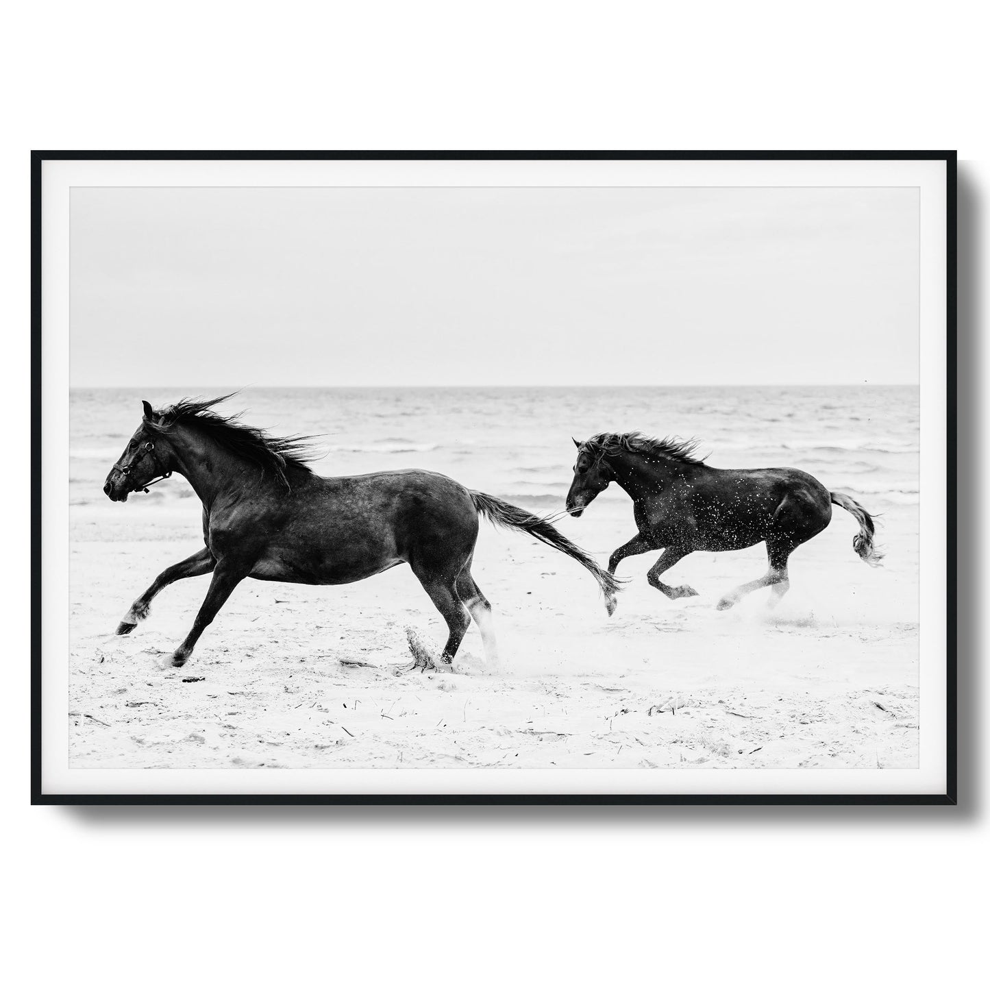 Horses on Beach Black and White Framed Art