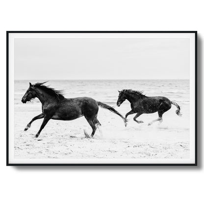 Horses on Beach Black and White Framed Art