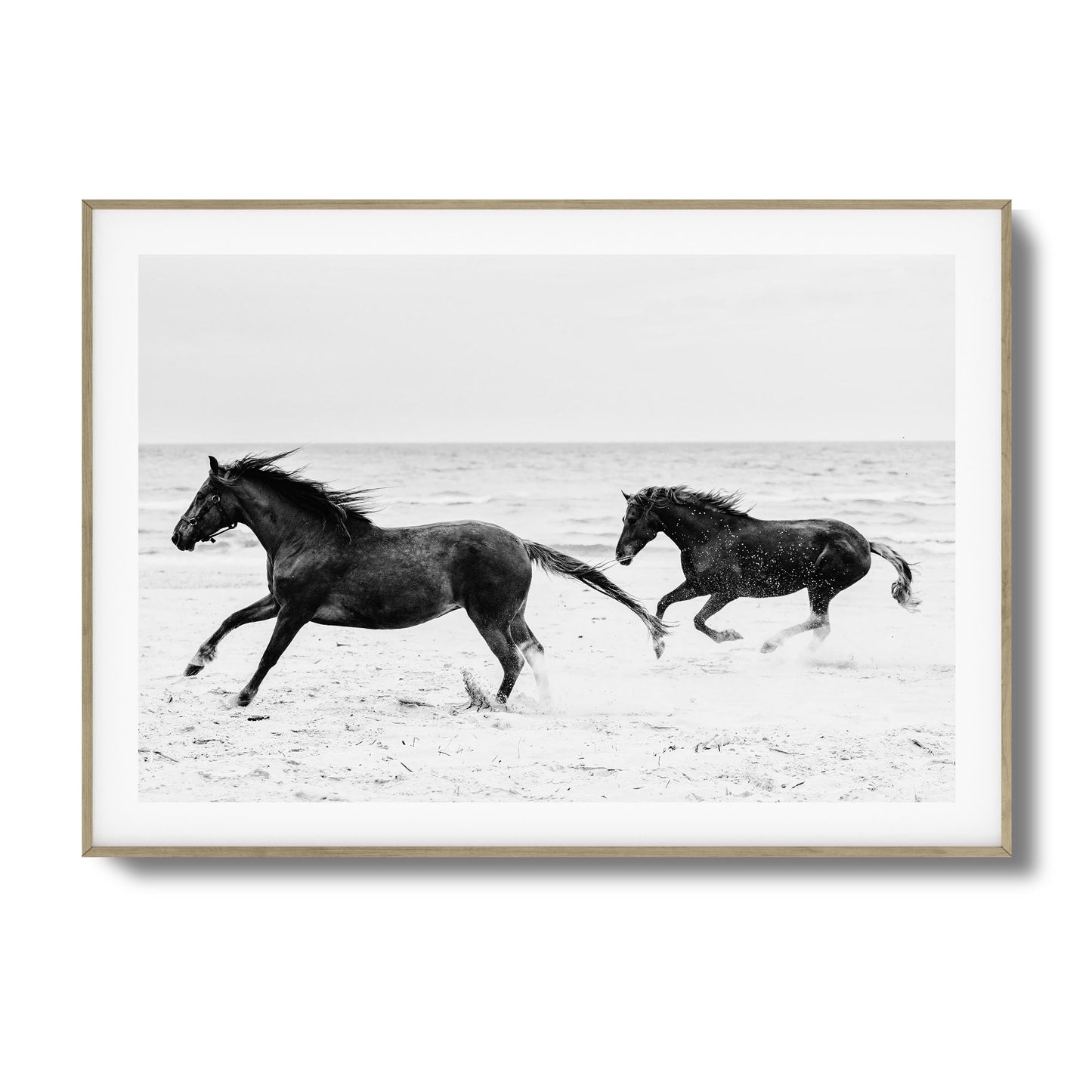Horses on Beach Black and White Framed Art