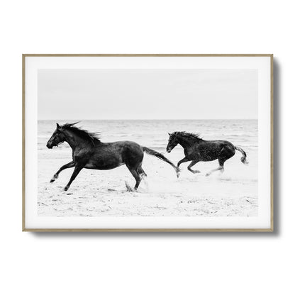 Horses on Beach Black and White Framed Art