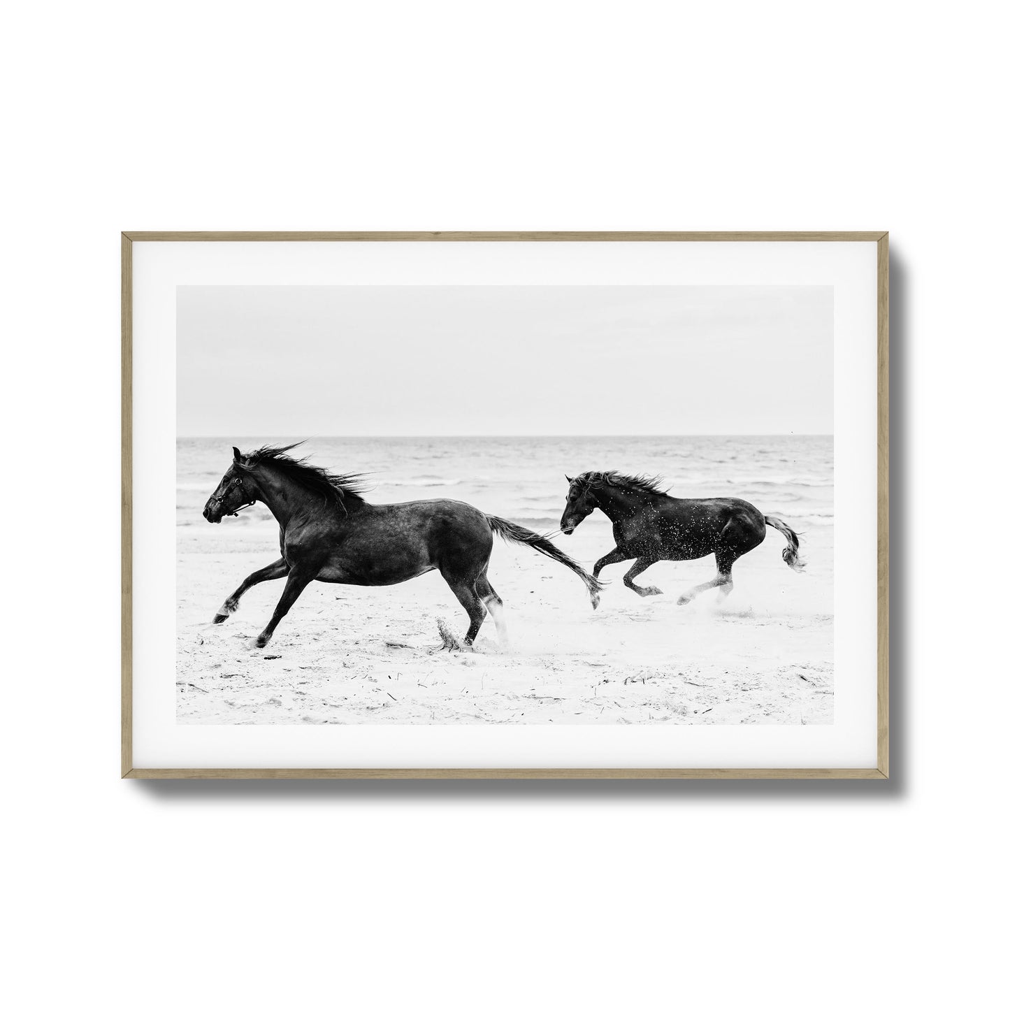 Horses on Beach Black and White Framed Art