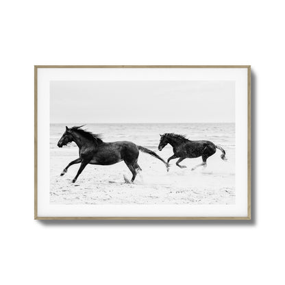 Horses on Beach Black and White Framed Art