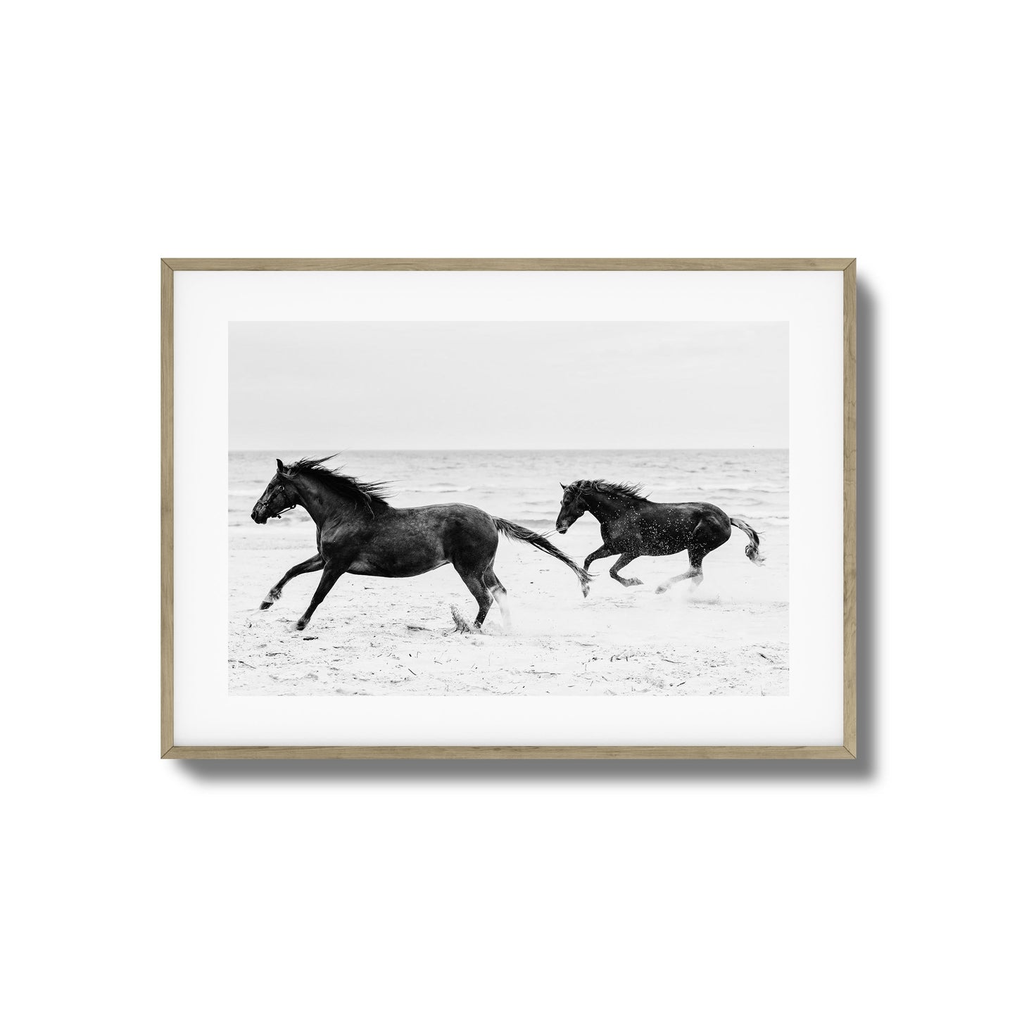 Horses on Beach Black and White Framed Art