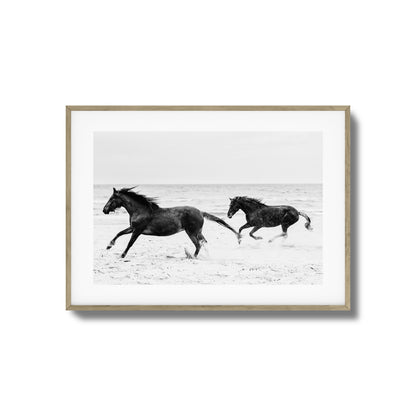 Horses on Beach Black and White Framed Art
