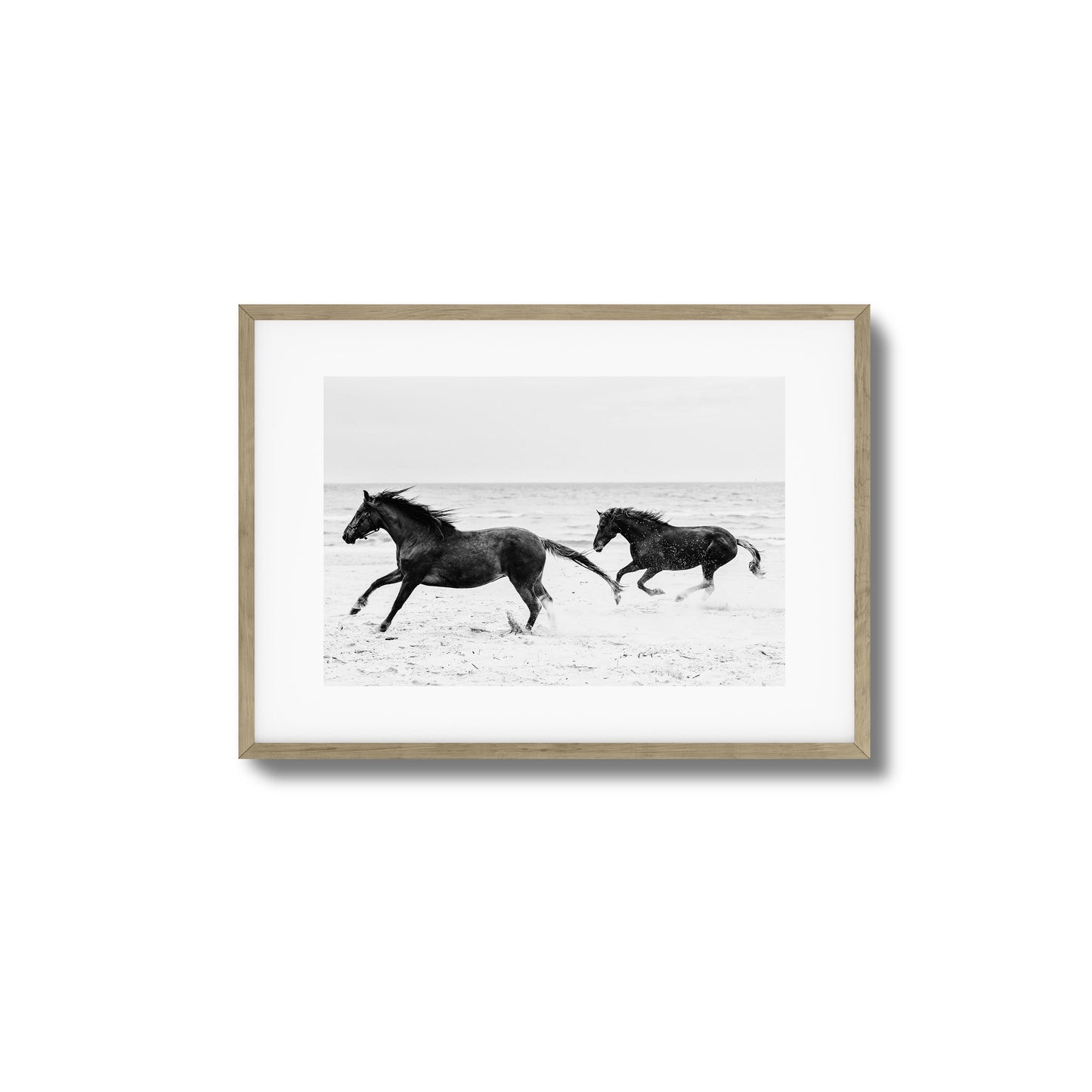 Horses on Beach Black and White Framed Art