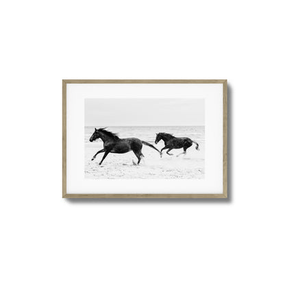 Horses on Beach Black and White Framed Art