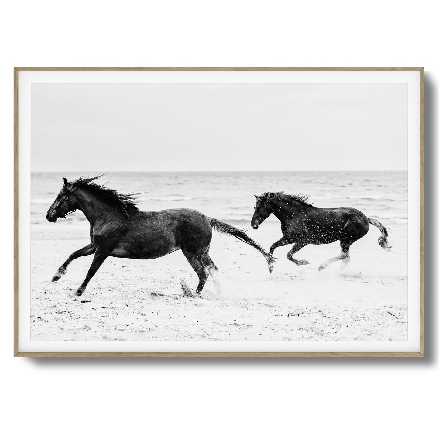 Horses on Beach Black and White Framed Art