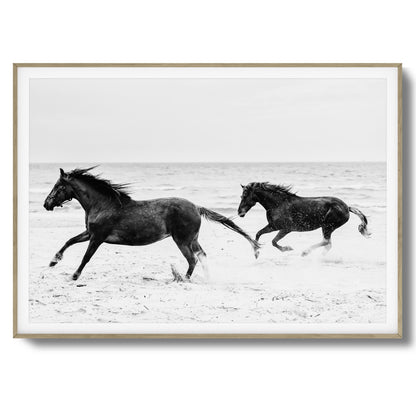 Horses on Beach Black and White Framed Art