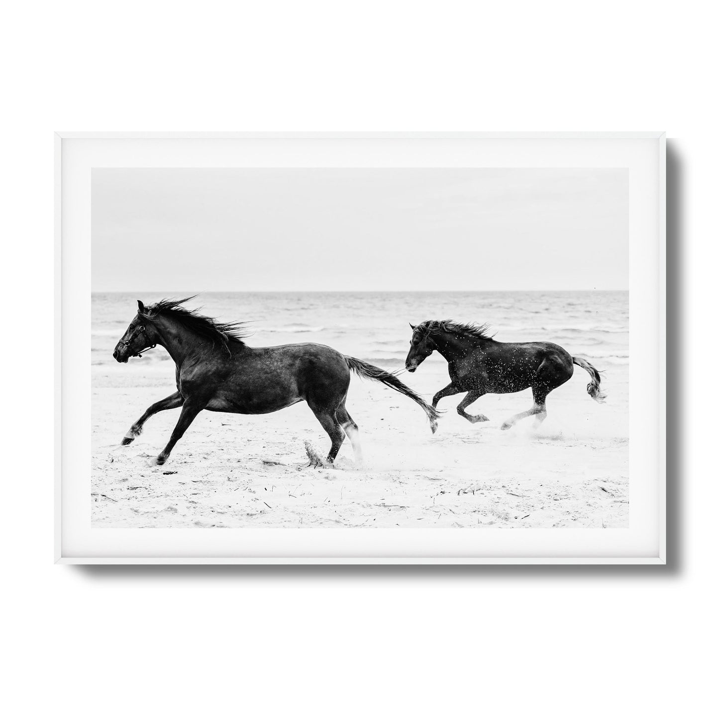 Horses on Beach Black and White Framed Art