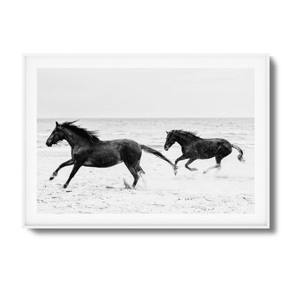 Horses on Beach Black and White Framed Art